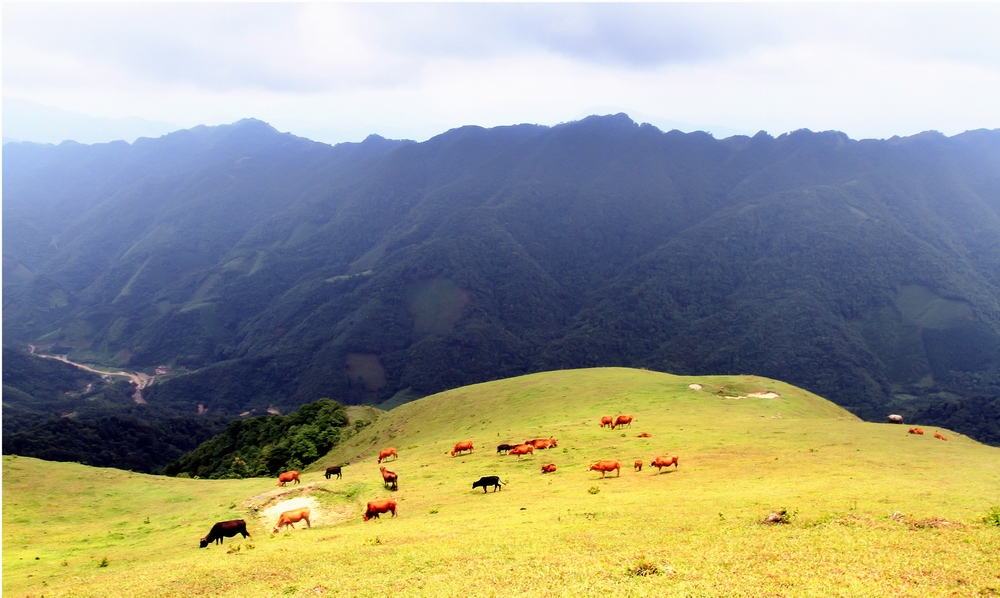 八排山